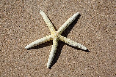 《战锤40K：Speed Freeks》发售日预告 8月6日发售